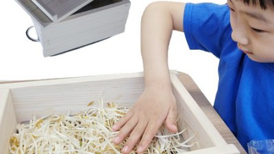 향긋한 편백향 가득! 국내산 편백나무 찜기 솔직 후기 & 꿀팁 대방출 🍯