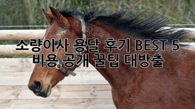 📦 소량이사 용달 후기 BEST 5 & 비용 공개! 꿀팁 대방출 🍯